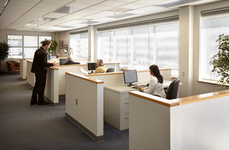 moving company employees working in office