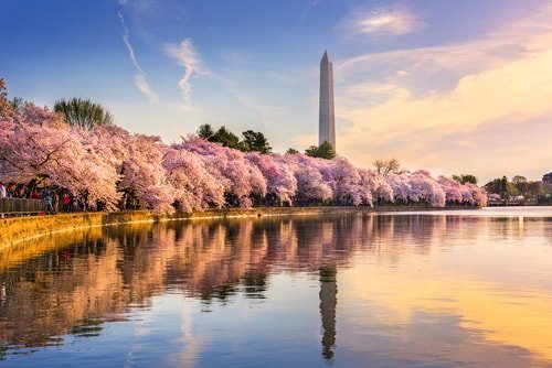 washington monument tidal basin